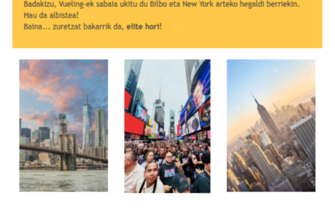 EMAIL MARKETING VUELING